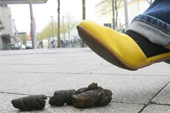 Tretminen-Alarm: Das sagt Adorf zu einer weiteren Hundetoilette - Immer wieder ein Ärgernis in Adorf: Hundekot, der liegengelassen wurde.