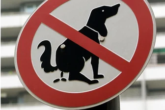 „Tretminen“ auf beliebtem Fußweg in Adorf: Wie die Stadt handeln will - Hundekot auf dem Fußweg: In Adorf sorgt es zwischen Innenstadt und Wohngebiet Alter Acker für Ärger.