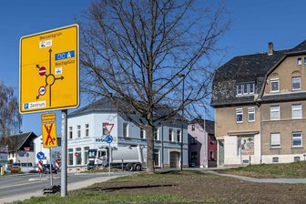 Treuen setzt auf Exoten: Amber- und Maulbeerbaum sollen Stadtklima verbessern - Bei der großen Eiche an der Georgenstraße wurden nun exotische Bäume gepflanzt.