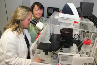 Trinkwasser-Studie im Vogtland: Wie gefährlich ist Mikroplastik? - Sylvia Renz (l.) und Tamara Grummt untersuchen in Bad Elster die Auswirkungen von Mikroplastik am Lebendzellenmikroskop.