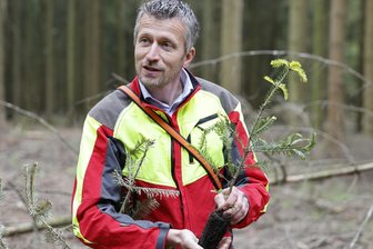 Trockenheit, Borkenkäfer, Waldbrände: Wie steht’s um unseren Erzgebirgswald, Herr Oberförster? - Forstbezirksleiter Clemens Weiser aus Neudorf erklärt, wie wichtig der Waldumbau ist und welche Rolle Weißtannen dabei spielen.