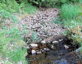 Trockenheit breitet sich im oberen Vogtland aus - Die Bäche führen bereits wieder wenig Wasser. Hier der Abfluss des Oberen Hüttenbachteiches in Zwota.