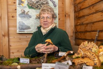 Trockenheit im Erzgebirge: Warum Pilzfreunde dieses Jahr enttäuscht sein könnten - Die Pilzsachverständige Angela Burkhardt erklärt, worauf es beim Sammeln im Erzgebirge ankommt.