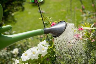Trockenheit: Landkreis Zwickau verbietet Abpumpen von Wasser - Die Entnahme mit Gießkanne oder Eimern wird in der neuen Allgemeinverfügung nicht erwähnt.