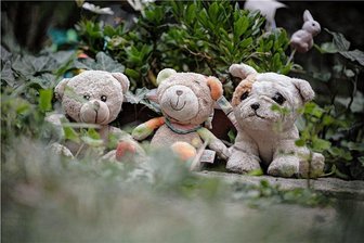 Trotz Babyklappe und anonymer Geburt: Warum töten Mütter ihre Kinder? - Kleine Plüschfreunde auf dem Babygrab von Emely auf dem Friedhof in Dresden-Neustadt. Mitarbeiter des Bestattungsunternehmens haben sie nach dem Begräbnis im März dorthin gesetzt. Der Bär in der Mitte ist neu. Keiner weiß, wer ihn Emely brachte. 