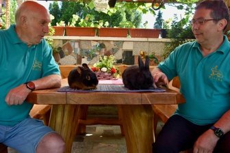 Trotz Corona: Verein lädt zur Kaninchenschau - Peter Aurich (links) vom Rassekaninchenzuchtverein S 416 Pleißa mit einem Loh-Kaninchen und Vereinschef Andreas Philipp mit einem Kleinsilber. Mitte Juli soll in Pleißa eine Tierschau stattfinden.