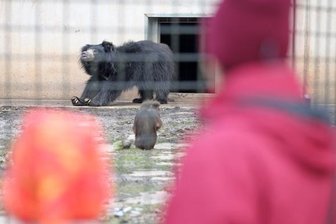 Trotz Fest: Tierpark in der Dauerkrise -