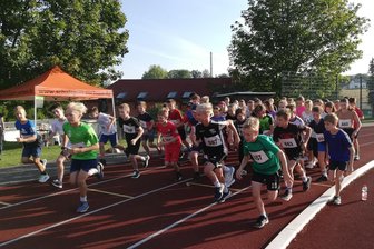 Trotz Hitzeschlacht: Mehr Spenden als im Vorjahr beim Nepallauf des Cottagymnasiums Brand-Erbisdorf - Startschuss für die Läufer: Beim 18. Nepallauf des Cottagymnasiums wurde das Vorjahresergebnis überboten.