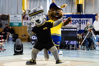 Trotz rutschender Hose: „Fredi Wolf“ gewinnt Maskottchen-Wettstreit beim Rochlitzer Kugelstoßmeeting - Fredi Wolf, das Maskottchen des Kreissportbundes Mittelsachsen (KSB), hat das Maskottchen-Duell vor den Hauptwettbewerben des Kugelstoßmeetings in Rochlitz für sich entschieden.
