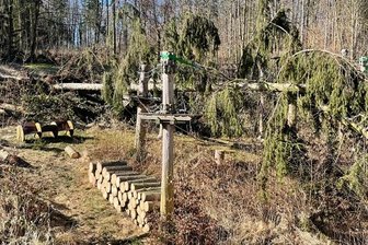 Trotz Schäden: Kletterwald startet bald in Saison - Fichten sind ins Kletterwald-Gelände an der Talsperre Pöhl gestürzt. Dennoch soll die Saison pünktlich zu Ostern beginnen.
