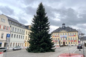 Trotz Sturmböen und Falschparkern: Der Weihnachtsbaum für Hainichen steht - In Hainichen steht der Weihnachtsbaum schon auf dem Markt.