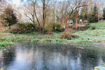 Trübes Wasser in Teich am Wolfspfützer Anger - Erste Ergebnisse liegen vor - In einem der beiden Teiche am Anger in Wolfspfütz hat sich vor kurzem das Wasser eeingetrübt. Jetzt liegen erste Ergebnisse vor.