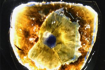 Turmaline stehen im Mittelpunkt - Um Turmaline geht es am Dienstag beim Ellefelder Mineralogentreffen.