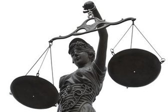Turmfalke beschossen: Mann steht vor Gericht -