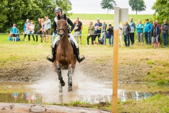 Turnier im Erzgebirge: 180 Pferde, 36 Fahrten und der Wettkampf um einen besonderen Cup - Zahlreiche Teilnehmer starten zum Reit-. und Fahrturnier in Lauterbach.