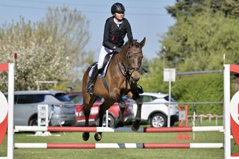 Turnier im Erzgebirge: Auf diese Zutat kommt es im Reitsport vor allem an - Senta Klinger vom Reitverein Lößnitz ist beim vereinseigenen Turnier im E-Springen gestartet.