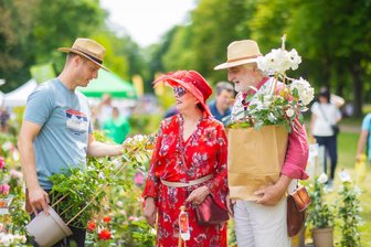 Über 50 Stände beim Gartenwochenende am Schloss Pillnitz -