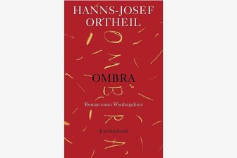 Über die Verdunkelung der Welt -