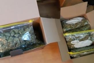 Über ein Kilogramm Marihuana entdeckt - Über ein Kilogramm Marihuana haben Polizisten in Wohnungen entdeckt.
