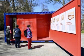 Übersee-Container im Stadtpark von Aue aufgestellt: Was es damit auf sich hat -