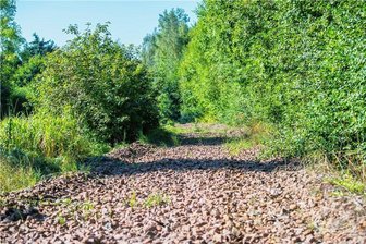 Umfrage unter Oelsnitzern: Sie wünschen sich mehr Radwege in der Stadt - Keine Schienen mehr, nur Schotter: Der Kohlenbahnradweg, hier an der Grenzstraße, soll bald Gestalt annehmen. Die Oelsnitzer wünschen sich aber noch mehr Radwege.