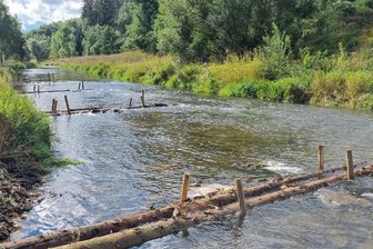 Umgestaltung der Freiberger Mulde bei Großschirma abgeschlossen - Die Freiberger Mulde unterhalb des Altväterwehres.