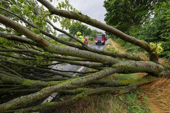 Umgestürzte Bäume, vollgelaufene Keller: Wie heftig das Unwetter in Westsachsen zuschlug - Umgekippte Bäume stoppen den Verkehr auf dem Autobahnzubringer S 255 in St. Egidien.