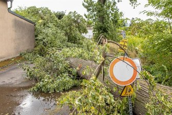 Umgestürzter Baum beschädigt Dach in Neukirchen - In der Sorgestraße in Neukirchen stürzte am Donnerstag ein Baum auf ein Vordach und verursachte Blechschäden.