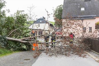 Umgestürzter Baum blockiert Straße in Sehma -