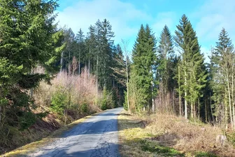 Umleitung in Lichtenberg: Weiter Weg vom Ober- ins Niederdorf - Die Umleitung führt entlang der Talsperre auf dem Forstweg.