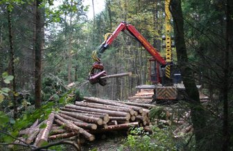 Waldarbeiten