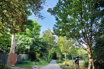 Umstrittene Baumfällungen am Großen Teich in Limbach-Oberfrohna: Handelte die Stadt ohne Genehmigung? - Das Limbacher Teichgebiet steht unter Naturschutz.