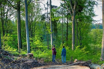 Umstrittene Fällarbeiten in Lichtenwalde: Waldumbau oder Umweltfrevel? - Blick von einem Waldweg, der parallel zur Niederwiesaer Straße verläuft, über das Zschopautal zum Schloss Lichtenwalde.