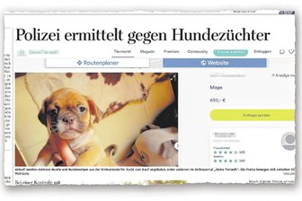 Umstrittene Hundezucht in Erdmannsdorf: Landratsamt schweigt, dafür reden Betroffene - Die „Freie Presse“ berichtete am 5. September erstmals über den Hundezuchtbetrieb in Erdmannsdorf. Vorausgegangen war eine Kontrolle des Grundstücks durch Landratsamt, Stadt und Polizei sowie polizeiliche Ermittlungsverfahren.