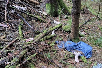 Umweltfrevel im Erzgebirge: Unbekannte entsorgen tierische Abfälle in Trinkwasserschutzzone - Müll und tierische Abfälle, entsorgt in einem Trinkwassereinzugsgebiet bei Markersbach. Die Wasserwerke haben Anzeige erstattet.