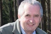 Umweltminister: "Die Aufräumarbeiten werden das ganze Jahr dauern" - Die Hälfte der Sturmschäden ist beseitig, sagt Thomas Schmidt. Um Wälder stabiler zu machen, muss umgebaut werden.