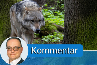Umweltministerin Lemke und der Wolf -