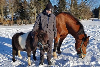 Unbekannte lassen nachts im Vogtland Pferde frei: „Da hätte richtig viel passieren können“ - Fühlen sich auch bei klirrender Kälte wohl: Pony Eddy und Kaltblut Gerda, dazwischen Lukas Scholz.