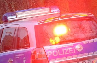 Unbekannte stehlen Zuchtenten in Pausa -