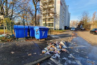 Unbekannte zünden Mülltonnen an - Die Mülltonne an der Dr. Salvador-Allende-Straße wurde durch das Feuer zerstört.