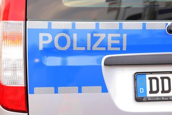 Unbekannter setzt Schlangen in Meerane aus -