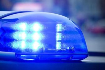 Unbekannter stiehlt wertvolle Bronzefigur von Grundstück -