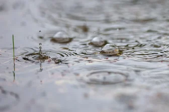 Unfall auf der A 72 bei Reichenbach: 58-Jähriger verletzt - Aquaplaning hat bei Reichenbach zu einem Unfall geführt.