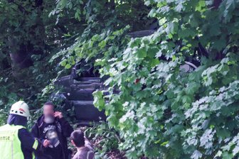 Unfall auf der B 175 zwischen Remse und Glauchau: Suzuki landet im Wald - Der Suzuki ist nach dem Unfall auf der B 175 mitten im Wald gelandet.