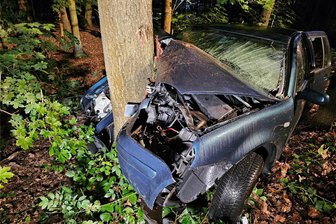 Unfall auf Staatsstraße zwischen Zwickau und Crimmitschau: 27-Jähriger stirbt im Krankenhaus - Bei dem Aufprall hat sich der Baum regelrecht in das Auto gebohrt.