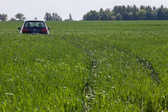 Unfall im Striegistal: Auto kommt in Feld zum Stehen - Nach einem Unfall blieb ein PKW auf einem Feld stehen.