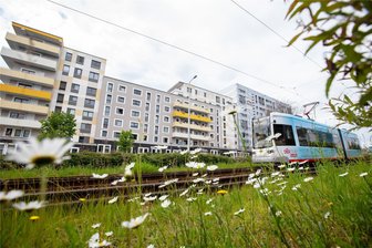 Unfallflucht: Fahrgast bei Notbremsung der Straßenbahn in Plauen verletzt - Bei einer Notbremsung der Straßenbahn wurde ein Fahrgast verletzt. Das Foto dient nur der Illustration.