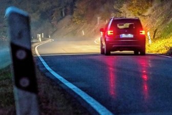 Ungewöhnlich viele tote Kröten bei Seiffen - Auf diesem Abschnitt zwischen Olbernhau und Seiffen wurden die toten Tiere beobachtet. 