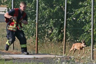 Ungewöhnlicher Einsatz für Meeraner Wehr: Kleines Reh findet keinen Ausweg - 