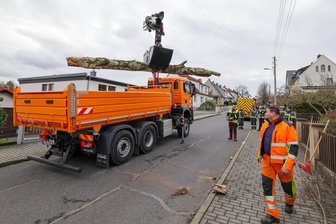 Ungewöhnlicher Feuerwehr-Einsatz: „Verlorener“ Baumstamm blockiert Straße - Dieser Birkenstamm lag am Mittwochmittag auf der Niclaser Straße, letzten Endes fuhr ihn der Bauhof ab.